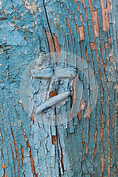 Vintage boards painted with colored paint on the peeling surface.