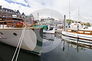 Vintage boats are docked at the Victoria Classic Boat Festival.