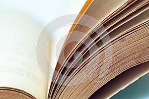 Vintage book pages closeup