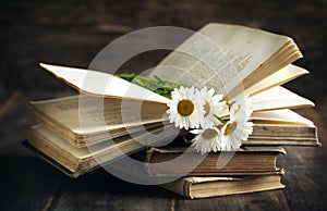 Vintage books and chamomiles on wooden background