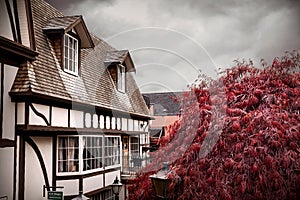 A vintage Bookstore with red tree in suburbs of Victoria Island, Canada