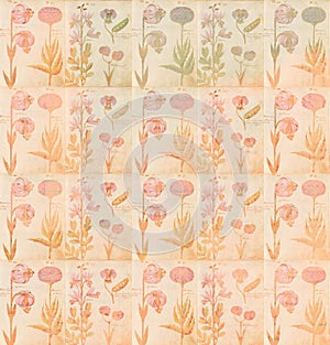 Vintage botanical background