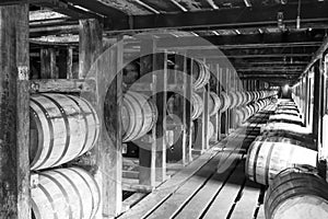 Vintage bourbon barrels in Rik house