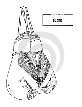 Vintage Boxing Gloves Hanging sketch vector.