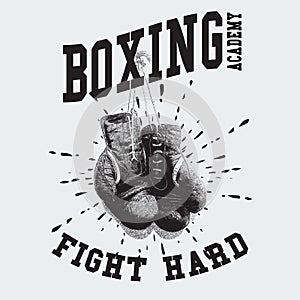 Vintage Boxing Gloves Vector Illustration photo