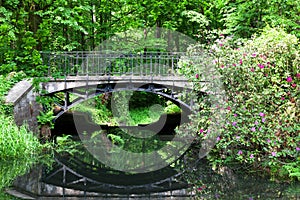 A vintage bridge with a mirror reflection in the pond. Bridge  with  rhododendron in the park