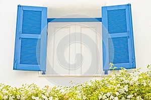 Vintage bright blue window and flowers.