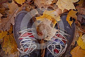 Vintage brown boots among fallen maple and oak leaves