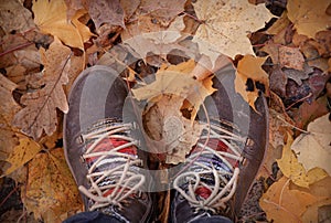 Vintage brown boots among fallen maple and oak leaves