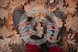 Vintage brown boots among fallen maple and oak leaves