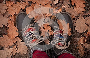 Vintage brown boots among fallen maple and oak leaves