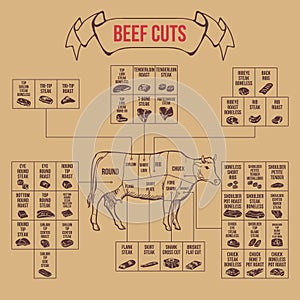 Vintage butcher cuts of beef diagram