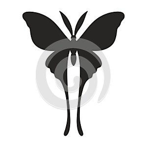 Vintage butterfly silhouette isolated on a white background