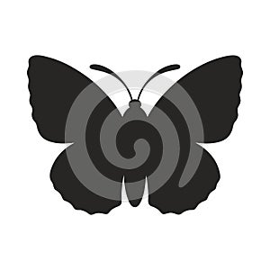 Vintage butterfly silhouette isolated on a white background