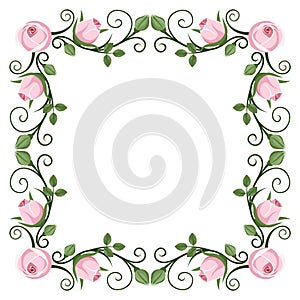 Vintage calligraphic frame with pink roses. Vector