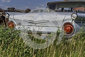 A vintage car abandoned in the tall grass on the prairies