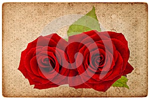 Vintage card board with red roses