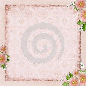 Vintage card and pink mallow