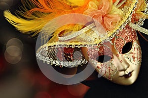 Vintage carnival mask