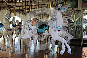 A vintage carousel with white horses