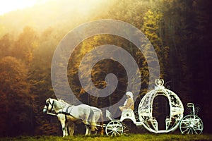 Vintage carriage in forest