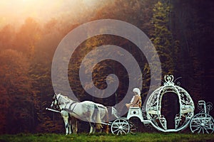 Vintage carriage in forest