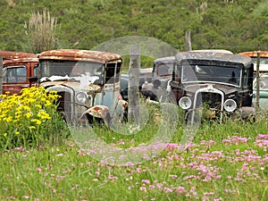 Vintage cars abandoned