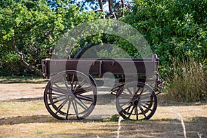 Vintage cart in Danish forest