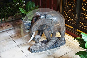 Vintage carved wooden elephant with real ivory tusks in Bangkok Thailand