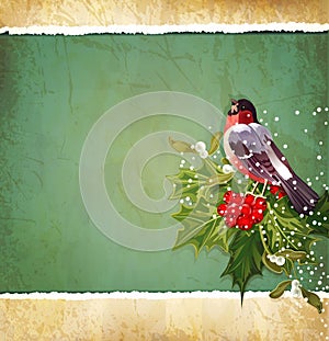 vintage Christmas background with bullfinch