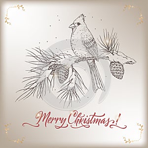 Vintage Christmas card with cardinal bird on pine branch and holiday brush lettering