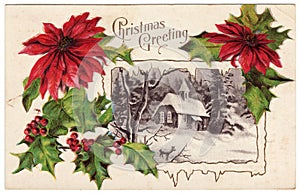 Vintage Christmas Greeting Postcard Poinsettias