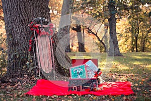 Vintage Christmas Prop Backdrop