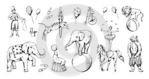 Vintage circus animal set. Bear on bike, sketch elephant and tiger, cute monkey on bicycle hand drawing. Acrobat and