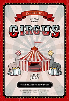 Vintage circus background. Carnival old frame. Show tent for magic amusement. Announcement retro banner. Seal tricks