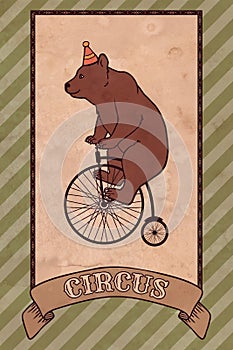 Vintage circus illustration, bear