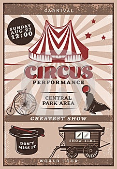 Vintage Circus Performance Poster