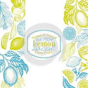 Vintage citrus background. Lemon tree design template. Hand drawn vector fruit illustration. Engraved style menu cover.