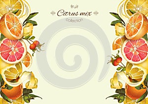 Vintage citrus banner