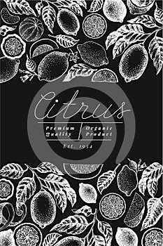 Vintage citrus banner template. Lemon tree design. Hand drawn vector fruit illustration on chalk board. Engraved style menu cover