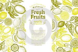 Vintage citrus banner template. Lemon tree design. Hand drawn vector fruit illustration. Engraved style menu cover