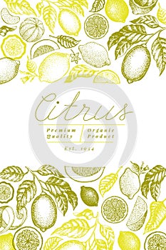 Vintage citrus banner template. Lemon tree design. Hand drawn vector fruit illustration. Engraved style menu cover