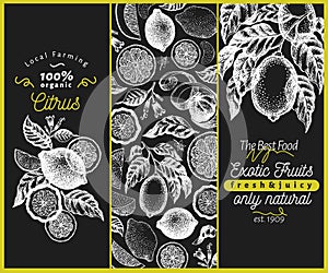 Vintage citrus banner template set. Lemon tree design. Hand drawn vector fruit illustration on chalk board. Engraved style menu