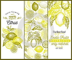 Vintage citrus banner template set. Lemon tree design. Hand drawn vector fruit illustration. Engraved style menu cover