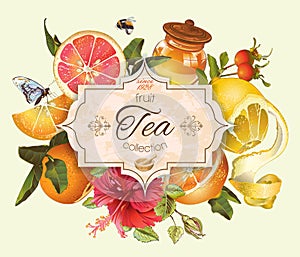 Vintage citrus banner