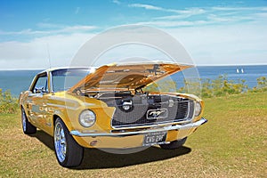 Vintage classic ford mustang