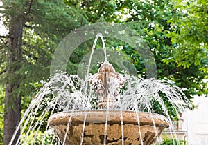 Vintage classic fountain decoration in green garden