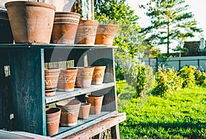 Vintage clay pots with ornamental pattern standing in rows on shelves