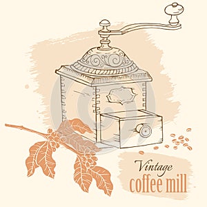Vintage coffee mill with beans and coffee tree brunch, hand drawn vector illustration