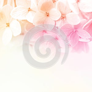 Vintage color flowers in soft and blur style on mulberry paper texture